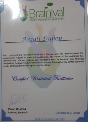 Branival Trainer for Strategic & Creative Thinking